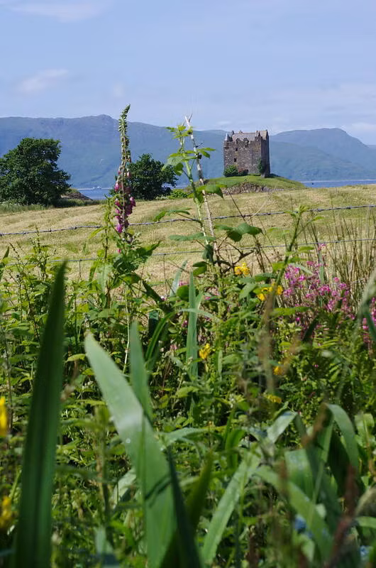 Stalker là lâu đài cổ nổi tiếng ở Scotland, Anh. Công trình hàng trăm tuổi này nằm trên một hòn đảo tại Loch Laich nên mang vẻ đẹp khác biệt so với các tòa lâu đài trên đất liền.