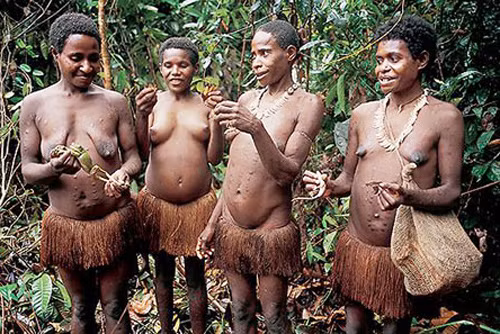  Bộ tộc Korowai ở Papua, Indonesia là duy nhất trên thế giới không sống ở mặt đất. Họ có khoảng 3000 người, sống tách biệt với thế giới xung quanh và không thích giao tiếp với người ngoài.
