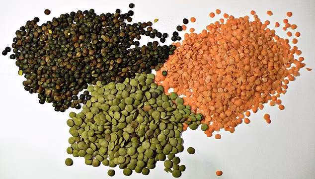 Đậu lăng là nguồn cung cấp protein, sắt và biotin tuyệt vời. Ăn đậu hàng ngày không những giúp tóc tăng trưởng tốt mà còn tránh được tóc rụng, đồng thời lại bổ sung nhiều dưỡng chất cho tóc.