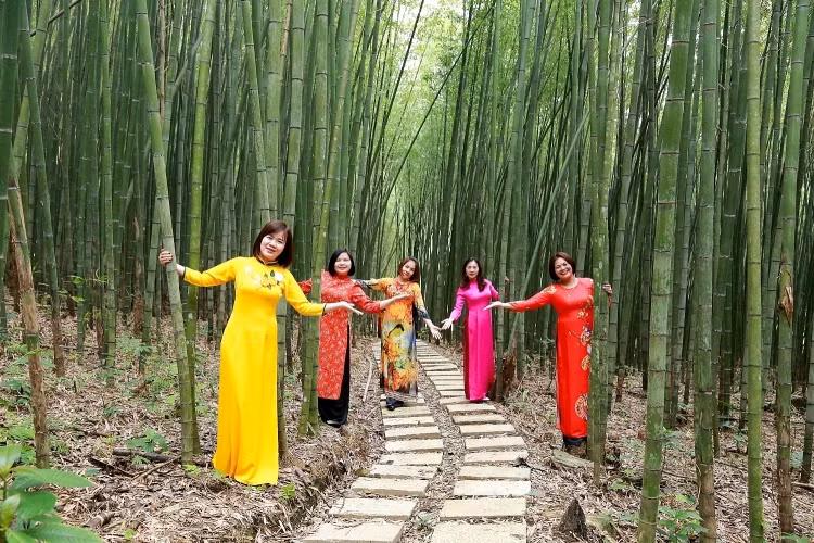 Nằm trong vùng khí hậu mát mẻ của Vườn Quốc gia Phia Oắc - Phia Đén, đây sẽ là địa chỉ thú vị cho đối tượng du khách muốn nghỉ ngơi, cắm trại, picnic vào dịp cuối tuần bên gia đình và bạn bè.