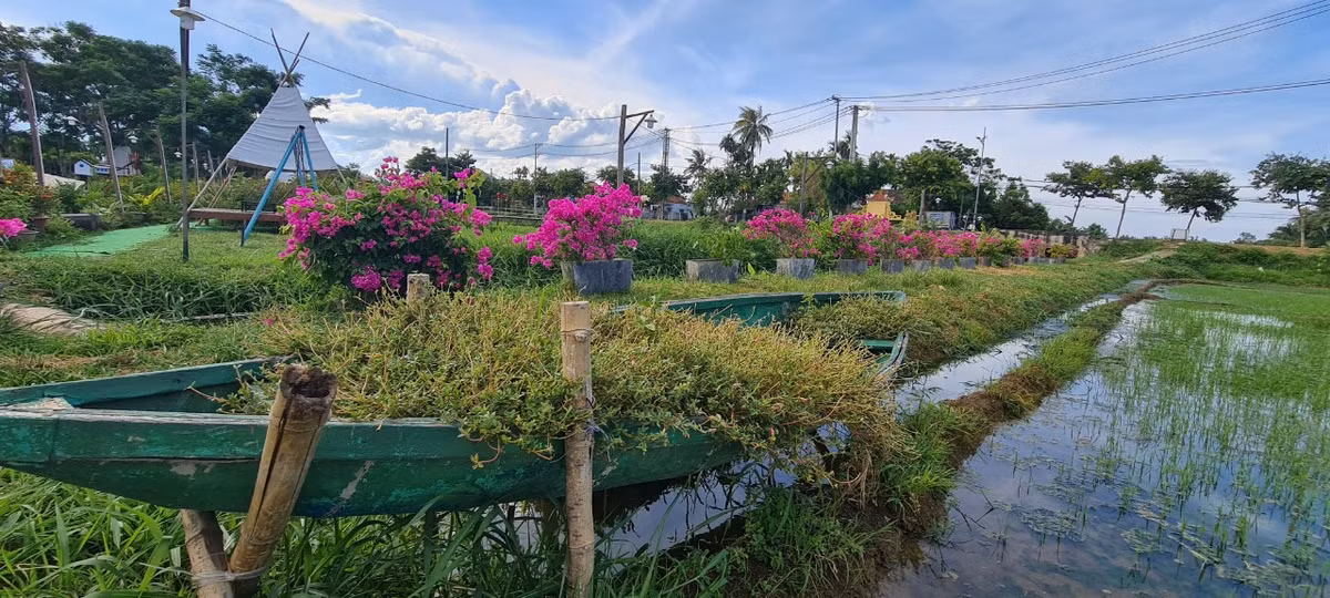 Những con thuyền chở đầy hoa dại ...
