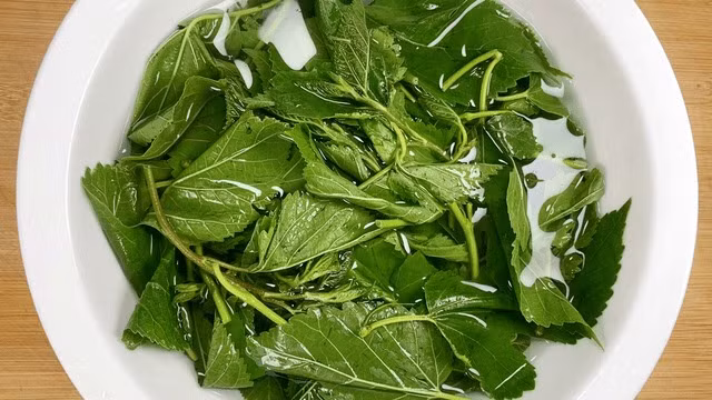 Món thạch lá dâu mát bổ, xua tan nóng bức mùa hè - Hình 3 Mon thach la dau mat bo, xua tan nong buc mua he-Hinh-3