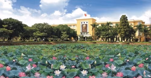 Nhung dam sen dep quanh Ha Noi nhat dinh phai check-in-Hinh-6