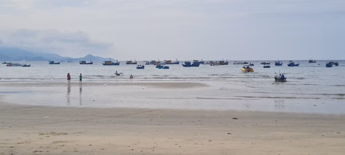 Nhon Ly - thien duong bien dao cua mien dat vo-Hinh-2