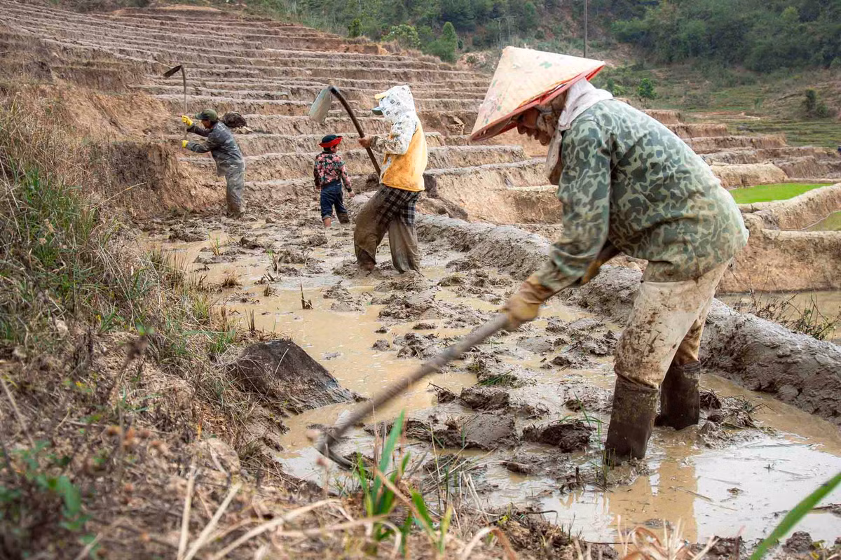 Người dân đắp lại bờ ruộng để giữ nước. Ảnh: Nguyễn Ban