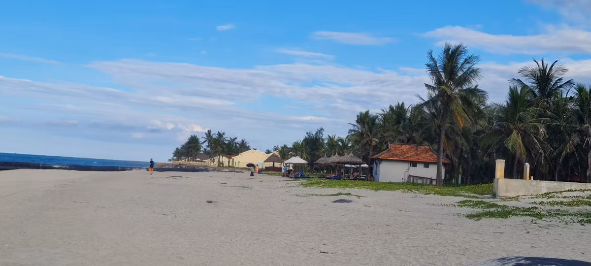 Lặng ngắm bãi biển Cửa Đại hồi sinh Lang ngam bai bien Cua Dai hoi sinh