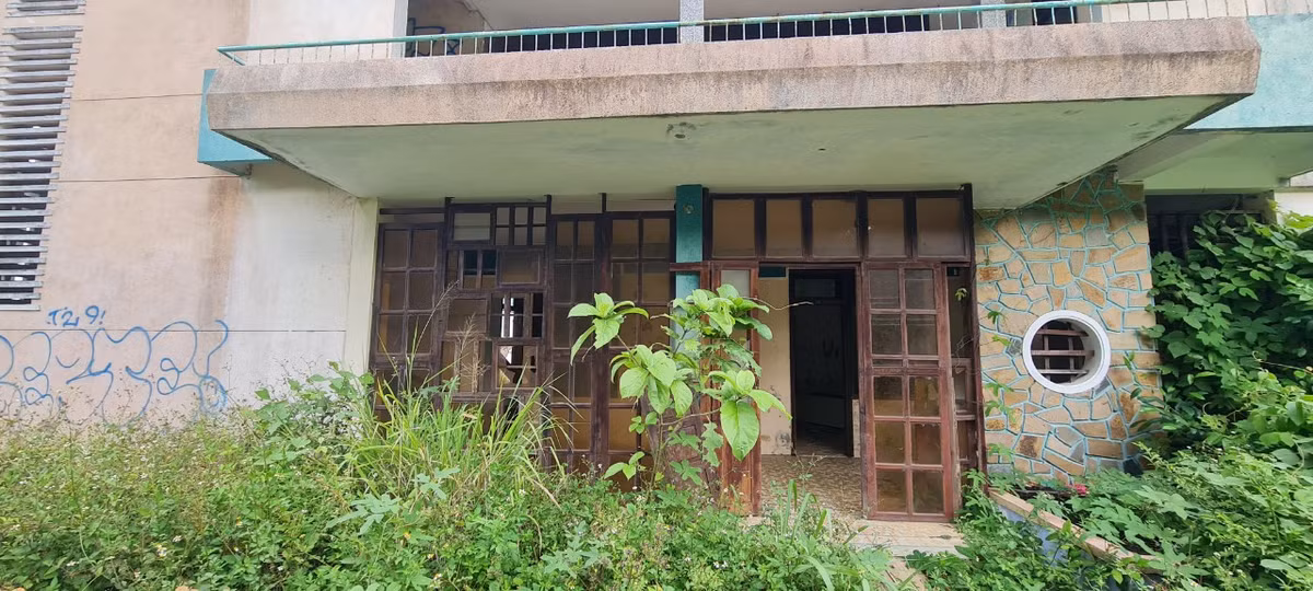 Cỏ dại um tùm, dây leo chằng chịt bò cao quá đầu người bao quanh ngôi nhà đã bỏ hoang nhiều năm.