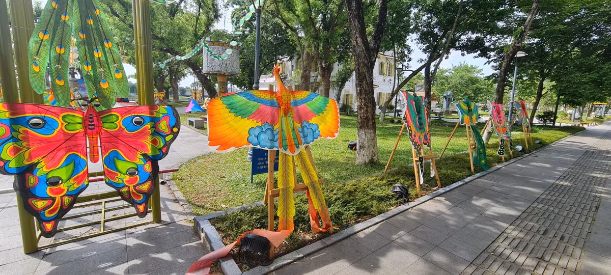 Diều sà xuống dọc các lối đi.