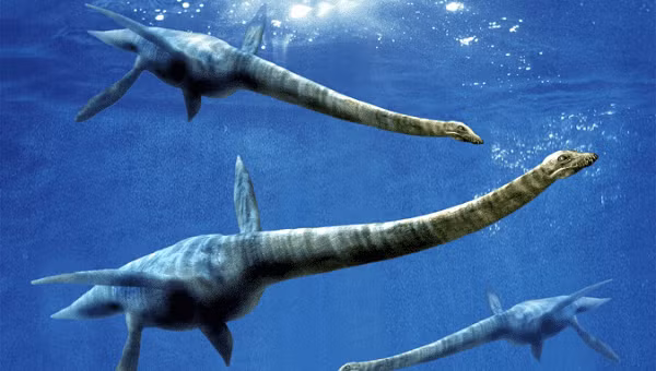 Xà đầu long (plesiosaur) là một loài bò sát biển bao gồm cá sấu và ngư long. Chúng tiến hóa từ sinh vật đất, và sau đó quay lại sống trong các đại dương.