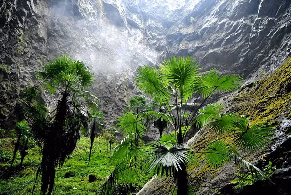 Một thành viên khác của đoàn, ông Zhang Yuanhai, kỹ sư cao cấp từ Viện Địa chất Karst, nói thêm rằng đáy của hố sụt "giống như một thế giới khác".