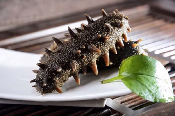 Có diện mạo kém hấp dẫn nhưng hải sâm lại là một trong những đặc sản xa xỉ rất được lòng giới nhà giàu vì cung cấp hàm lượng dinh dưỡng cao, nhiều protein, ít chất béo, ít cholesterol,... và có hương vị lạ miệng không thể lẫn với bất kỳ món ăn nào.