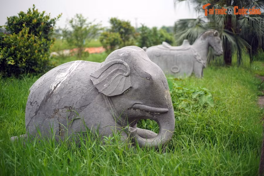 Vào thời Lê Trung hưng, nhiều lăng mộ các vị Quận công được xây dựng hệ thống tượng người, linh thú và tượng thú được tạo tác công phu, bài trí cùng với những hiện vật thờ khác để làm tăng thêm giá trị tưởng niệm đến người đã khuất. Ảnh: Tượng voi và ngựa ở lăng Quận Vân, Thường Tín, Hà Nội.