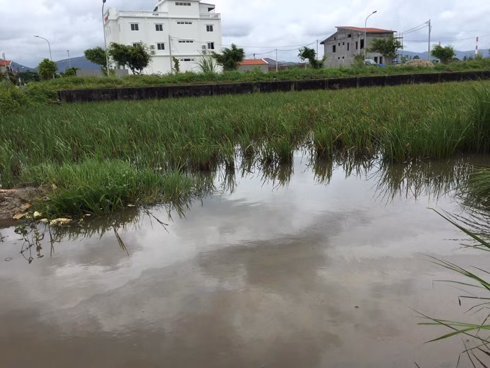 Quang Ninh: Dau tran theo nuoc mua xuong dong ruong, dan buc xuc-Hinh-10