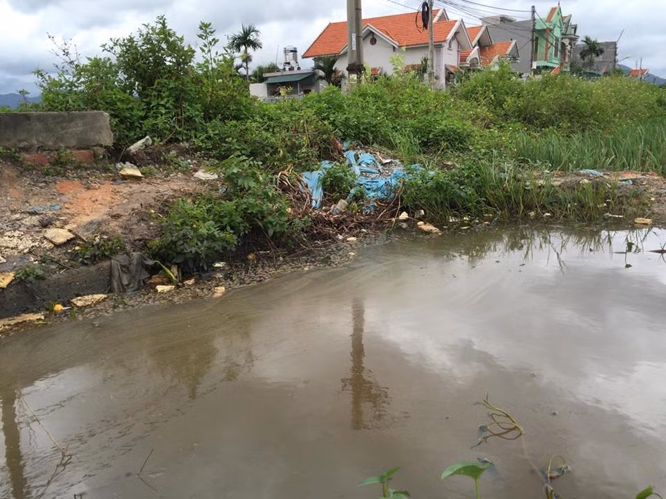 Quang Ninh: Dau tran theo nuoc mua xuong dong ruong, dan buc xuc-Hinh-11