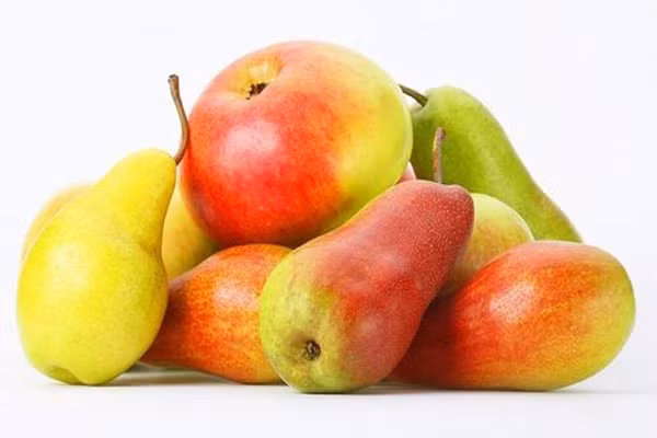 Để an toàn, tốt nhất bạn nên bỏ hạt trước khi ăn, đặc biệt khi cho trẻ nhỏ ăn, không xay lẫn hạt khi làm nước ép trái cây, sinh tố. Còn theo lương y Đa khoa Bùi Hồng Minh, người ta vẫn dùng hạt táo tàu (táo Trung Quốc) để chế thành thuốc chống mất ngủ, tuy nhiên khi chế thuốc phải có cách thức riêng. Với người bình thường, không nên ăn, nuốt hạt các loại quả này.