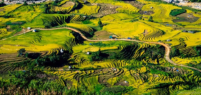 Thung lũng Thiên Sinh trở nên rộn ràng khi bắt đầu thu hoạch. Những mảng màu nâu của ruộng đã gặt xen lẫn màu vàng của lúa, màu xanh của cây cỏ, điểm xuyết những mái nhà, tạo ra bức tranh tuyệt đẹp.