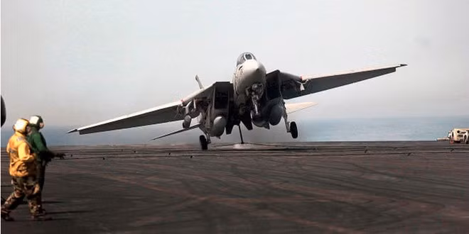 F-14 có nhiều bộ phận chuyển động khi hạ cánh như: Cánh tà, phanh không khí, bánh lái và cánh ổn định ngang nên nó được gọi với biệt danh "Gà Tây".