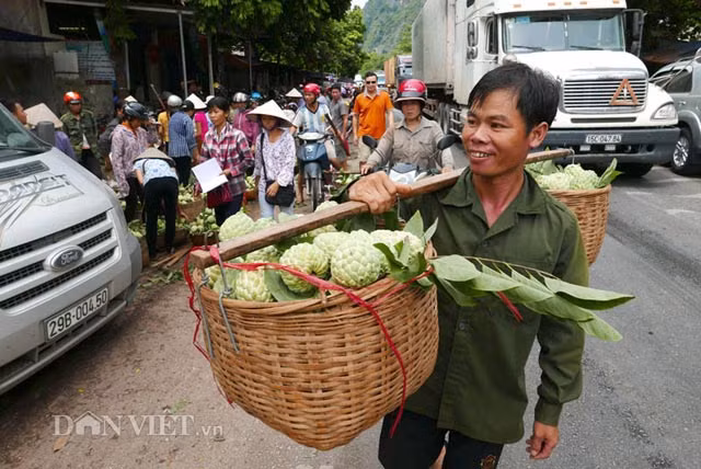 Đến đây thường bắt gặp cảnh mỗi người gánh theo hai thúng nặng khoảng 40kg được thu hoạch quanh vùng mang ra chợ bán trong buổi sáng. Anh Hoàng Văn Điện ( xã Hoà Lạc, Hữu Lũng) vui tươi khi gánh thúng na mang ra chợ bán.