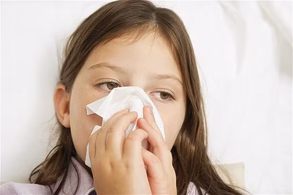  Nhờ các tinh dầu này mà dầu gió có tác dụng chống viêm nhiễm, kháng khuẩn, giảm đau và làm cho tinh thần sảng khoái... Dầu gió có thể được dùng bôi ngoài da để trị cảm cúm, nhức đầu, lạnh chân tay do mưa ẩm, bị côn trùng cắn…