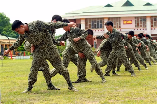 Các tư thế đánh địch tay không, đánh địch có hung khí bằng các thế võ cận chiến, tiêu diệt địch nhanh gọn, đã một lần nữa tạo nên những “nét vẽ” đầy đủ về những chiến đấu viên “tinh nhuệ trong tinh nhuệ” của Bộ đội Đặc công 113.