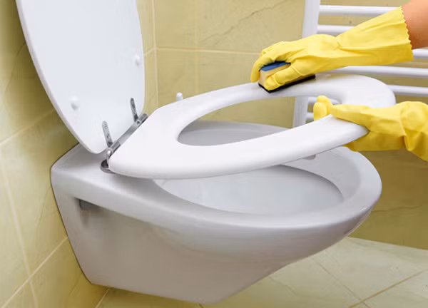 Cho dù bạn có thường xuyên quét bụi, lau dọn thì trong ngôi nhà vẫn tồn tại nhiều vi trùng và không lung linh như bạn nghĩ, với những đồ vật bẩn hơn bồn cầu nhưng bạn không hề e ngại chạm vào chúng. 