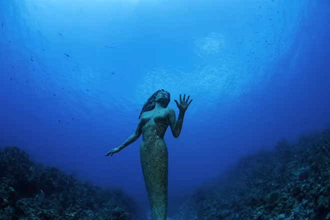 Tượng nữ thần Amphitrite, đảo Grand Cayman: Bức tượng nữ thần biển nặng 272 kg này nằm cách bờ 50 m, ở mũi tây nam của hòn đảo. Du khách có thể lặn xuống độ sâu 15 m và ngắm nhìn bức tượng lạ kỳ có dạng nàng tiên cá này. Ảnh: Justin Lewis.