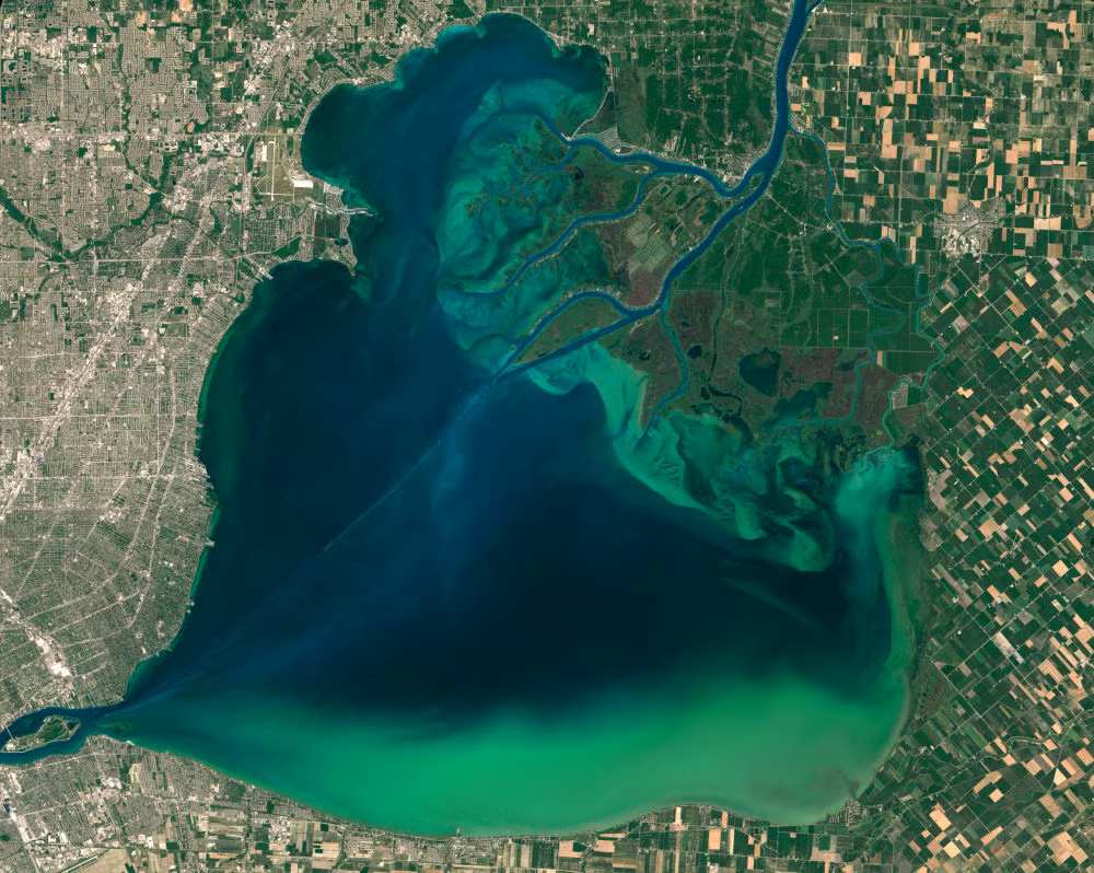 Hình ảnh tảo nở hoa tuyệt đẹp trong Ngũ Đại Hồ được ghi lại bởi Vệ tinh Landsat 8.