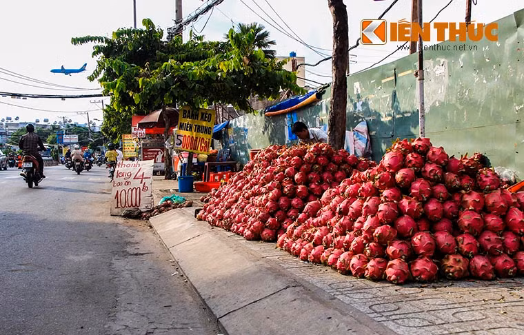 Tất cả những điểm này đều bán thanh long với giá rẻ giật mình, không thể tin nổi: 10.000 đồng cho 3 hoặc 4kg.