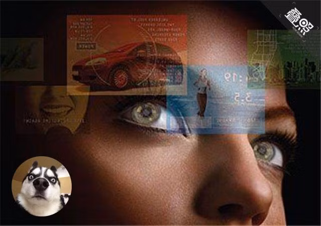 Kính áp tròng online: Giáo sư Parviz từ ĐH Washington dự báo sẽ có kính áp tròng online vào năm 2030. Loại kính này được lắp một bộ đèn LED có khả năng nhận dạng khuôn mặt và hiển thị những gì bạn nhìn thấy trong cuộc sống, thậm chí dịch tự động thành phụ đề ngay trên kính. Như vậy dù gặp người lạ bất đồng ngôn ngữ, văn hóa vẫn giúp bạn giao tiếp dễ dàng.