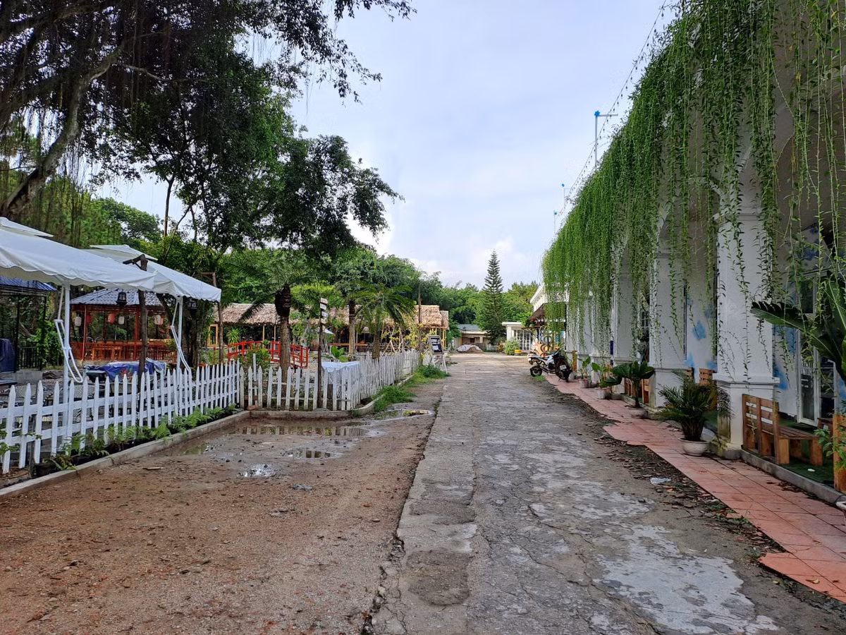 Hai Phong: Thien Van Gardenhill kinh doanh trai phep tren dat rung phong ho?-Hinh-2