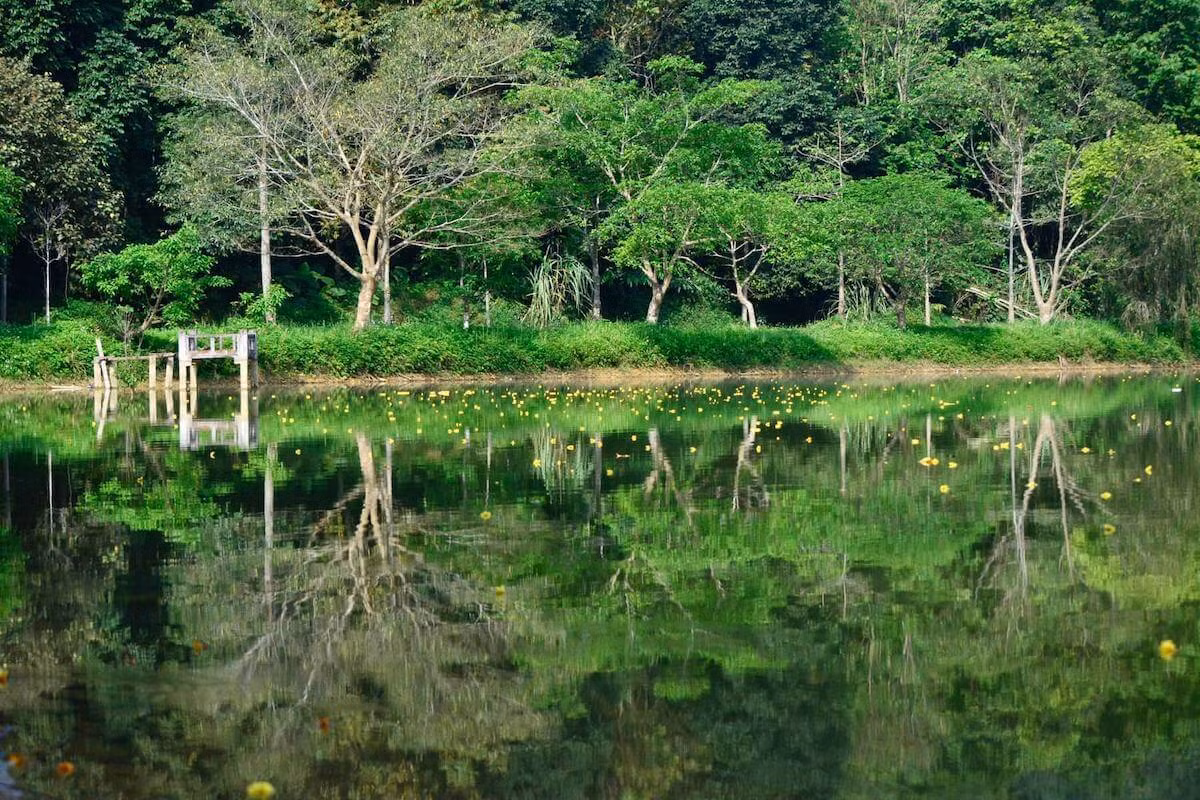 Loài voọc đen mông trắng không còn tồn tại ở bất cứ nơi nào khác trên thế giới ngoài Việt Nam. Ảnh: Expatolife.
