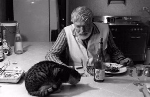 Nhà văn Ernest Hemingway chia sẻ bữa tối của mình cho mèo cưng.