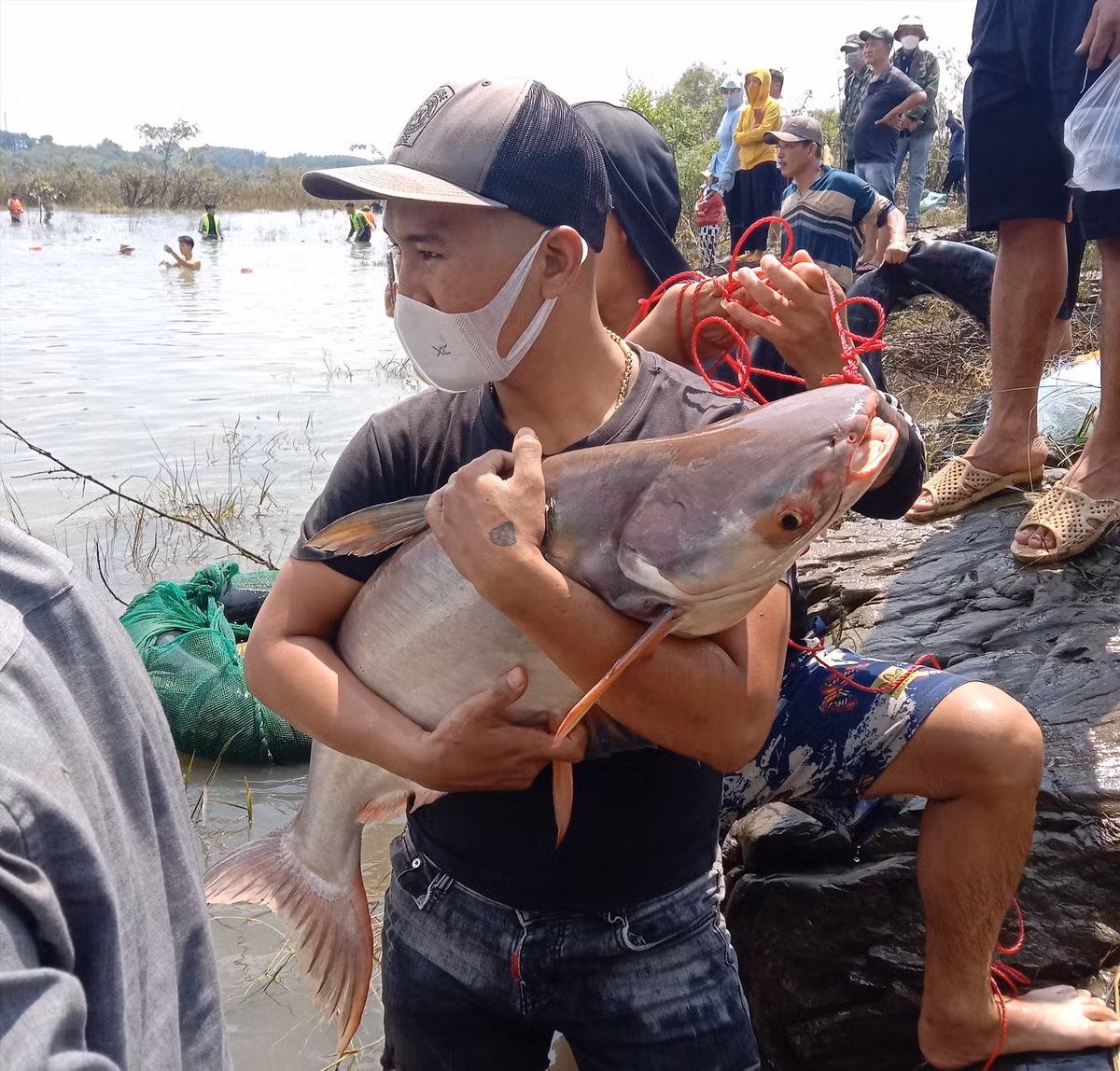 Một người dân bắt được một con cá khủng có trọng lượng gần chục ký.