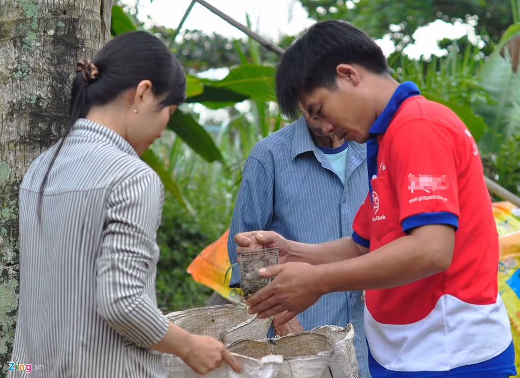 Khi thợ săn kết thúc ngày làm việc, những thương lái trong vùng đến tận nhà mua chuột. Thịt chuột đồng trở thành món ngon nên các nhà hàng và người ăn nhậu ưa thích. Để có được hàng, họ phải gọi điện để đặt trước hoặc túc trực tại nhà các thợ săn.