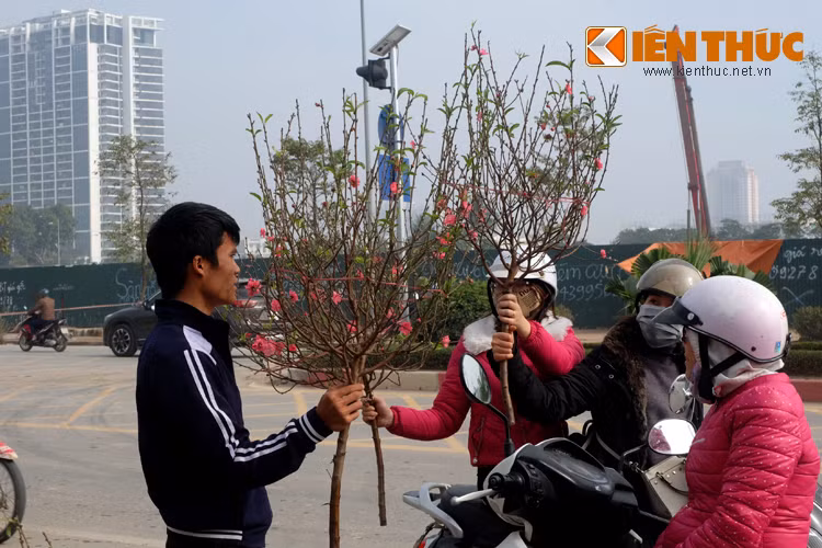 Tín hiệu của mùa xuân cứ thế lại theo từng người đi về các con ngõ nhỏ, mang mùa xuân vào từng căn nhà.