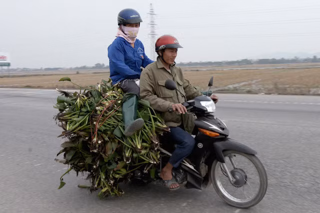 Một kiểu đi đường bá đạo.