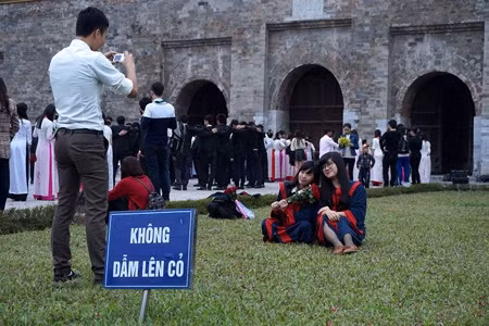 "Không dẫm lên cỏ" là câu nói bị "chà đạp" nhất.