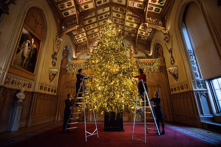 Được biết mỗi cây thông Noel ở Windsor mất tới 13 giờ để trang trí và hoàn thiện và có hàng chục cây thông như vậy bên trong lâu đài này. Nguồn ảnh: Insider.