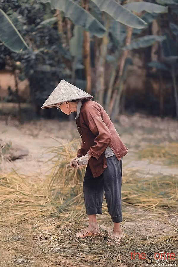 Với tông màu nhẹ nhàng, bên cạnh phác họa hình ảnh một người bà mộc mạc, giản dị... Hùng đã mang đến cho người xem một cái nhìn mới, thể hiện hình ảnh chân thực, thân quen về cuộc sống lao động của những người nông dân Việt Nam.