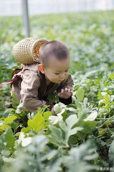 Cậu bé còn được đặt cho biệt danh "em bé dưa hấu".
