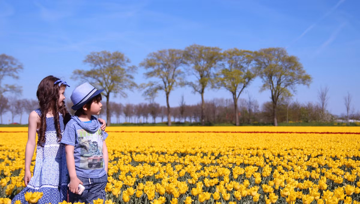 Vốn là một người yêu hoa nên chị Lips Phạm thường đưa con tới những cánh đồng hoa tulip trong làng để chụp ảnh, cũng là một cách để chị thỏa mãn đam mê chụp ảnh của mình.