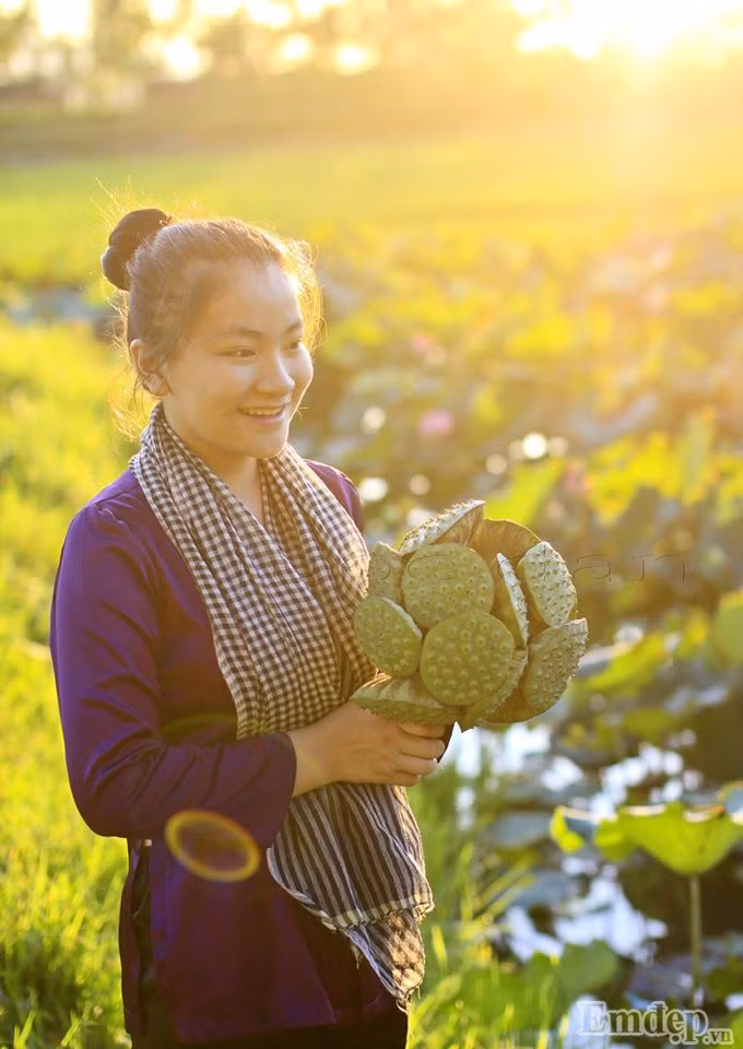 Mùa sen về, nhiều người háo hức tìm đến đầm sen thưởng ngoạn, hòa mình vào cánh đồng sen tỏa hương thơm dịu dịu mang đến cảm giác bình dị, khoan khoái và tất nhiên những ai đến đây đều không quên chụp cho mình bộ ảnh với hoa sen làm kỉ niệm mà không mất bất kỳ một chi phí nào.