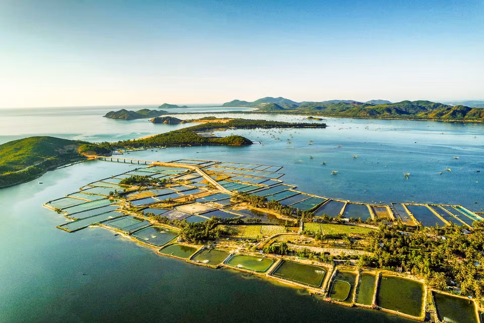 Đầm Ô Loan là một thắng cảnh tiêu biểu của tỉnh Phú Yên, cách thành phố Tuy Hòa khoảng 20 km về phía bắc, xung quanh là những dãy đồi nhỏ, tạo ra khung cảnh nên thơ, yên bình, đặc biệt khi hoàng hôn buông xuống.