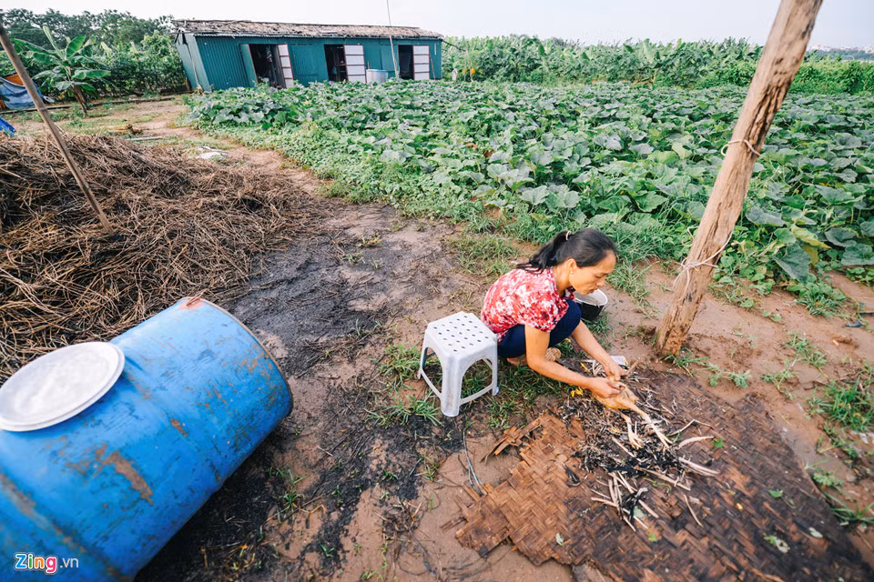 "Nước dâng khiến mấy con chó cứ quanh quẩn quanh nhà, rồi nó cắn chết mấy con gà lúc nào không biết", bà Thanh ngao ngán lắc đầu.