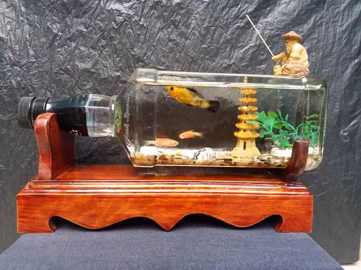 Bể cá cảnh này được rao bán với giá khá rẻ, chỉ từ 250.000 - 2.000.000 đồng.