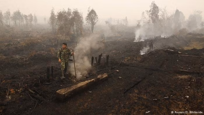 Tháng 9: Hàng nghìn vụ cháy rừng xảy ra tại Indonesia. Khói bao phủ sang Malaysia, Thái Lan và Singapore, ảnh hưởng tới tổng cộng 40 triệu người.