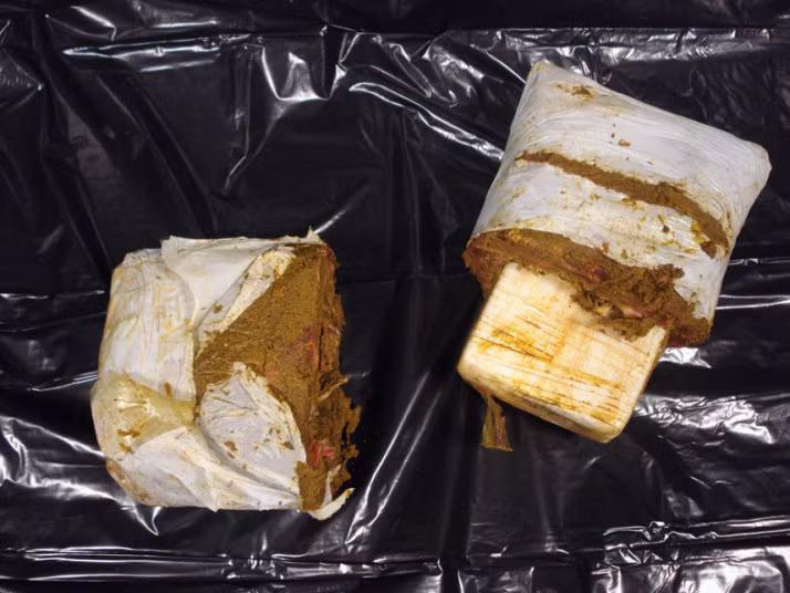 Cocaine giấu trong gói thịt đông lạnh bị phát hiện. Trước đó, một người đàn ông từ Trinidad mang theo ba gói thịt đông lạnh trong hành lý đến sân bay quốc tế Kennedy (Mỹ). Tuy nhiên, sau khi các nhân viên kiểm tra, họ phát hiện gói thịt đông lạnh thực chất chứa hơn 3,2 kg cocaine.