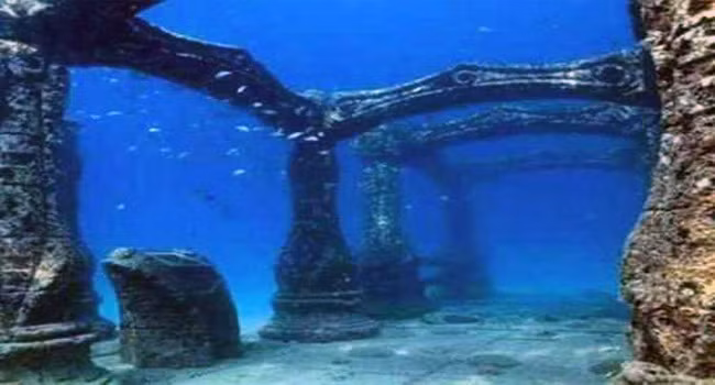Nhiều tàn tích nhà cửa, đường xá, bức tường bảo vệ làm bằng đá sa thạch... của thành phố chìm dưới nước Dwaraka còn khá nguyên vẹn.