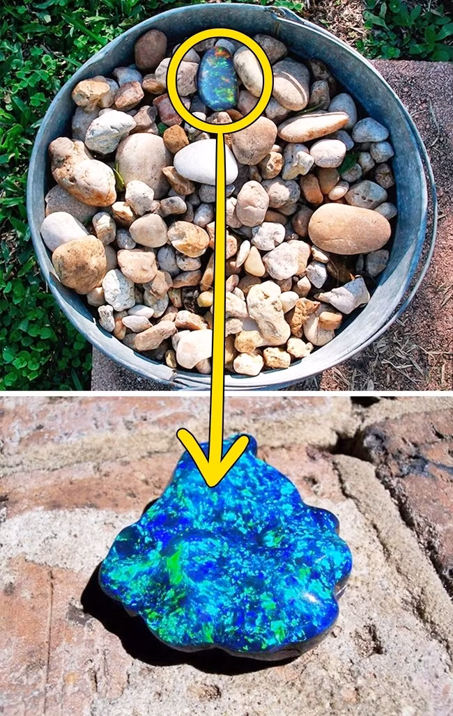 Một thợ mỏ ở Australia đã vô tình tìm thấy kho báu giá trị là hòn đá Opal đen quý hiếm. Người này tìm thấy viên đá Opal lẫn với những viên đá thông thường. Ông quyết định giữ nó như một món quà lưu niệm.