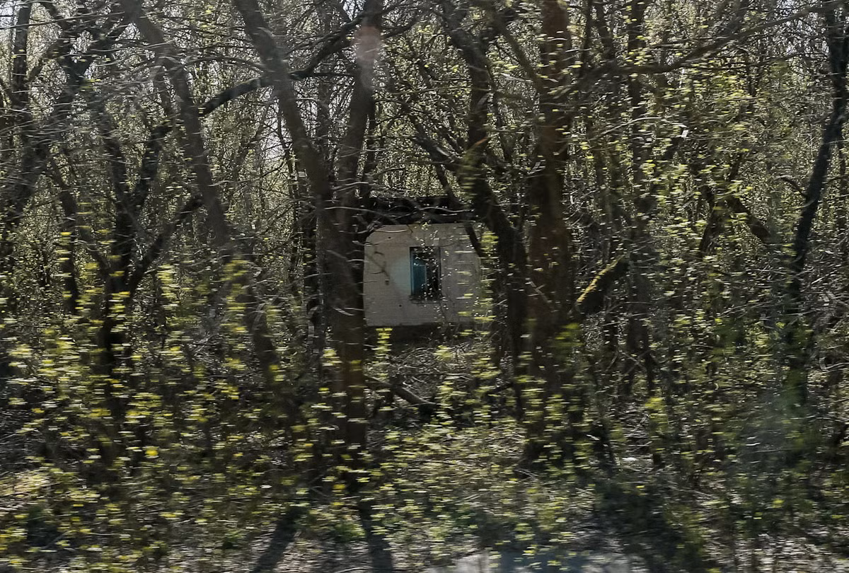 Một ngôi nhà gần nhà máy Chernobyl bị bỏ hoang, cỏ dại mọc um tùm sau khi xảy ra thảm kịch hạt nhân năm 1986.